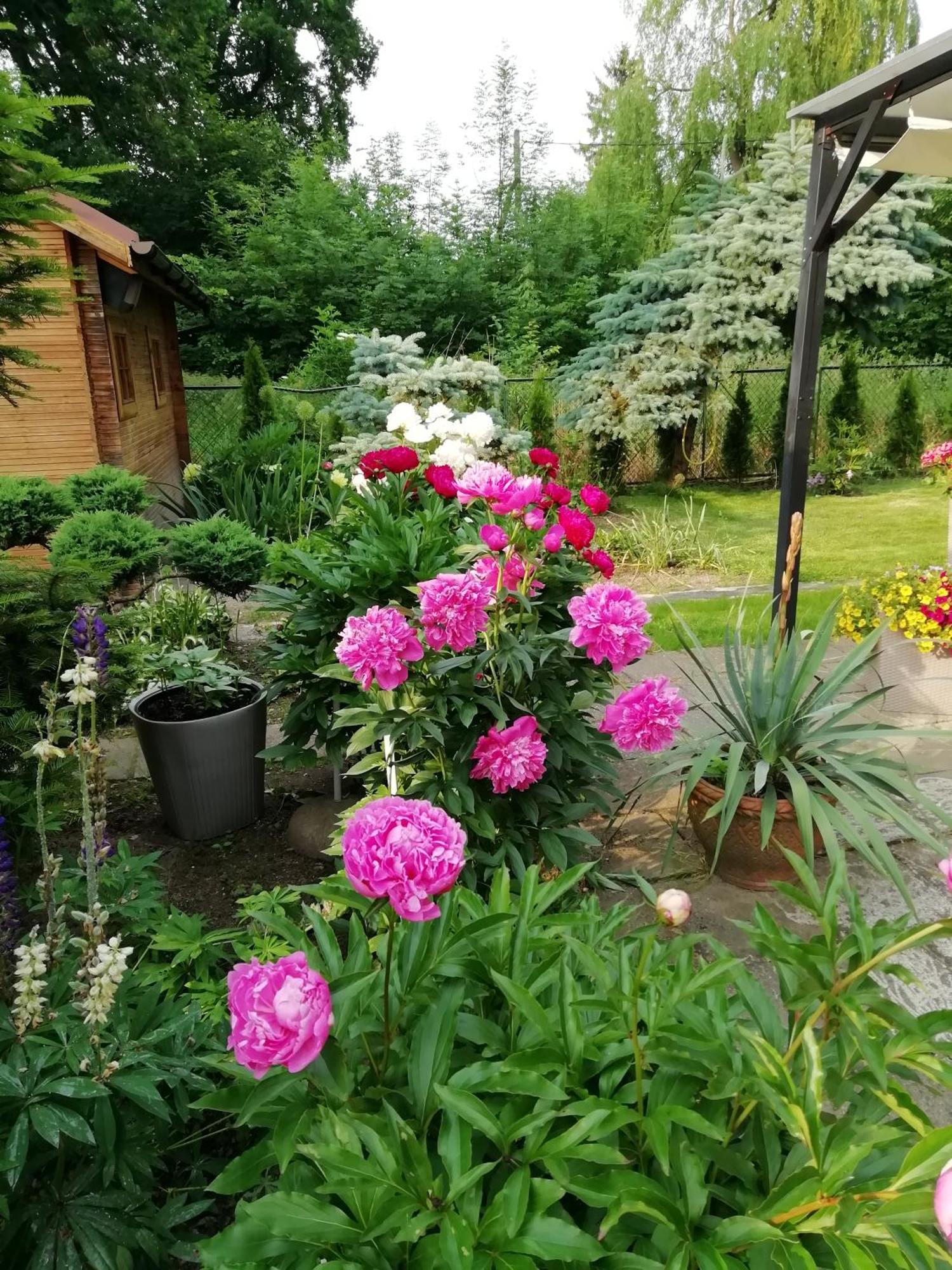Apartament Wlodek Jelenia Góra Eksteriør bilde