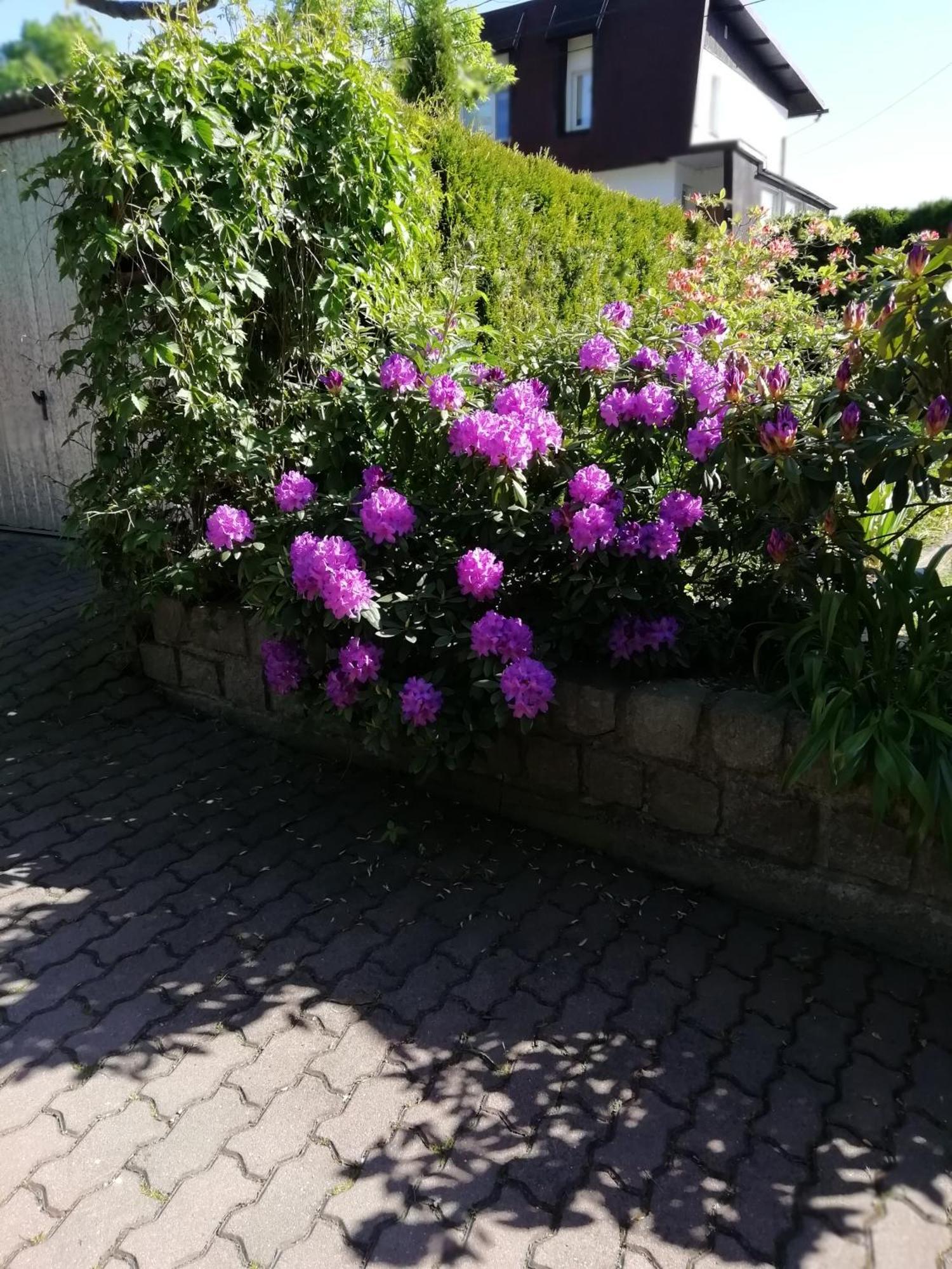 Apartament Wlodek Jelenia Góra Eksteriør bilde