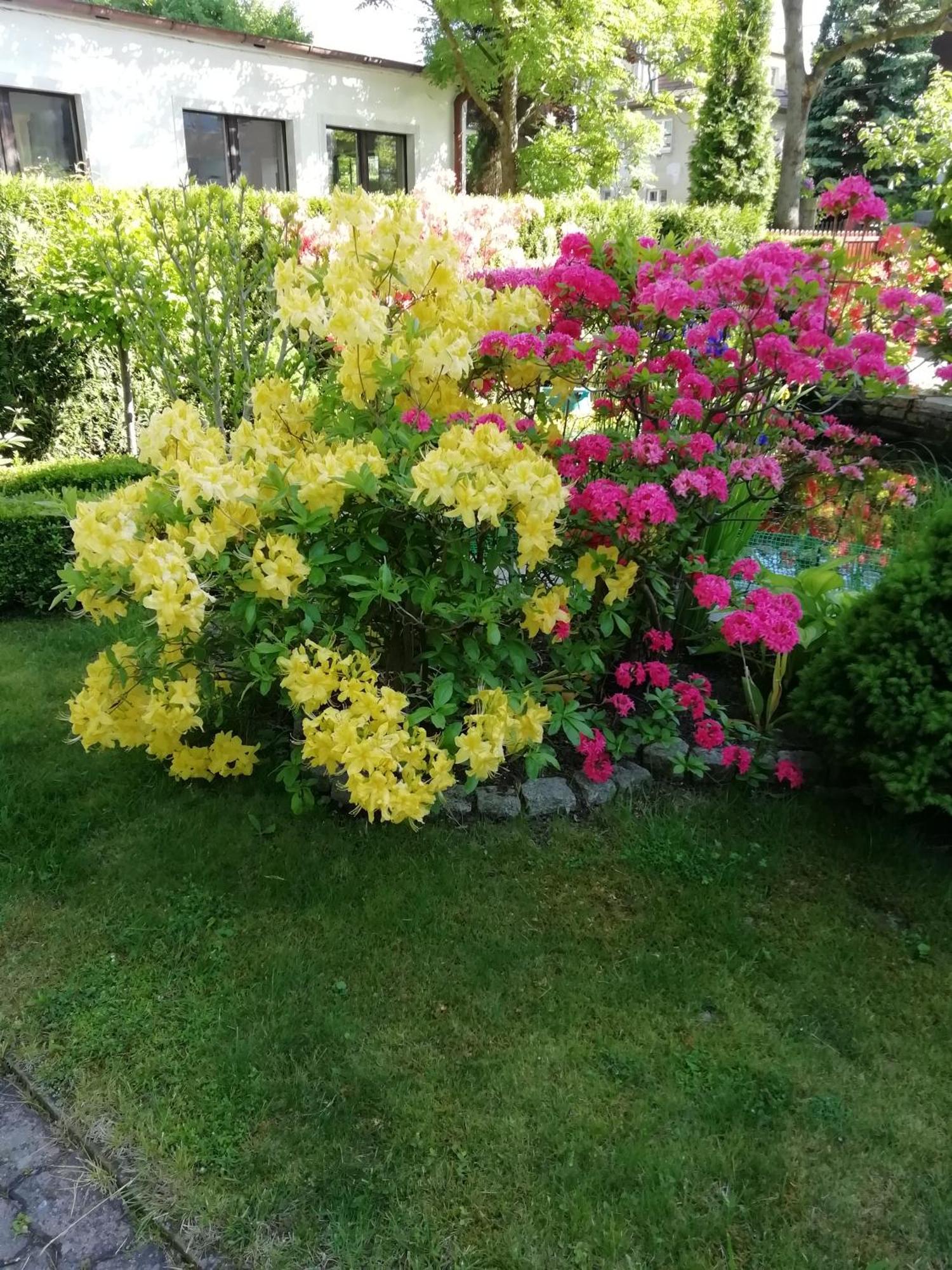 Apartament Wlodek Jelenia Góra Eksteriør bilde